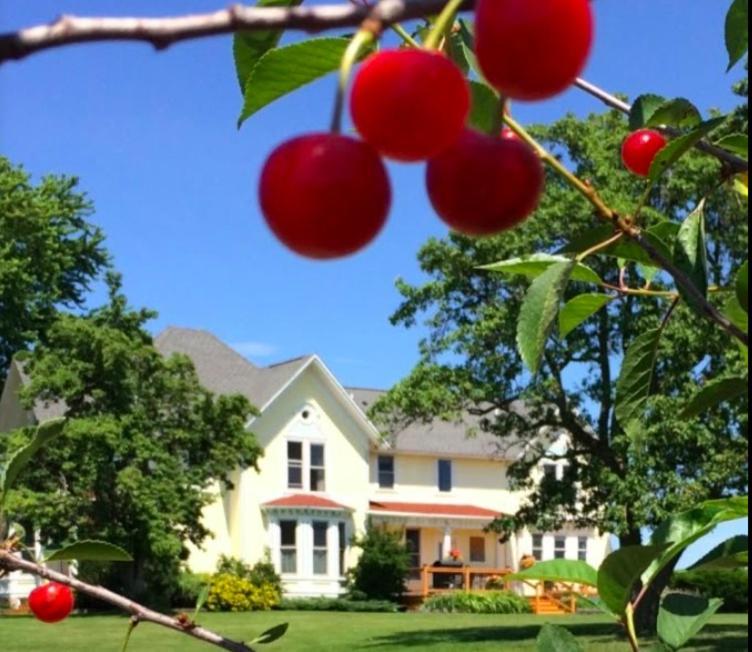Country Hermitage Bed & Breakfast Acme Kültér fotó